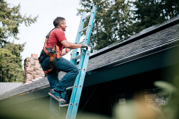 Best Solar Panel Roofing Installation  in Jefferson, WI